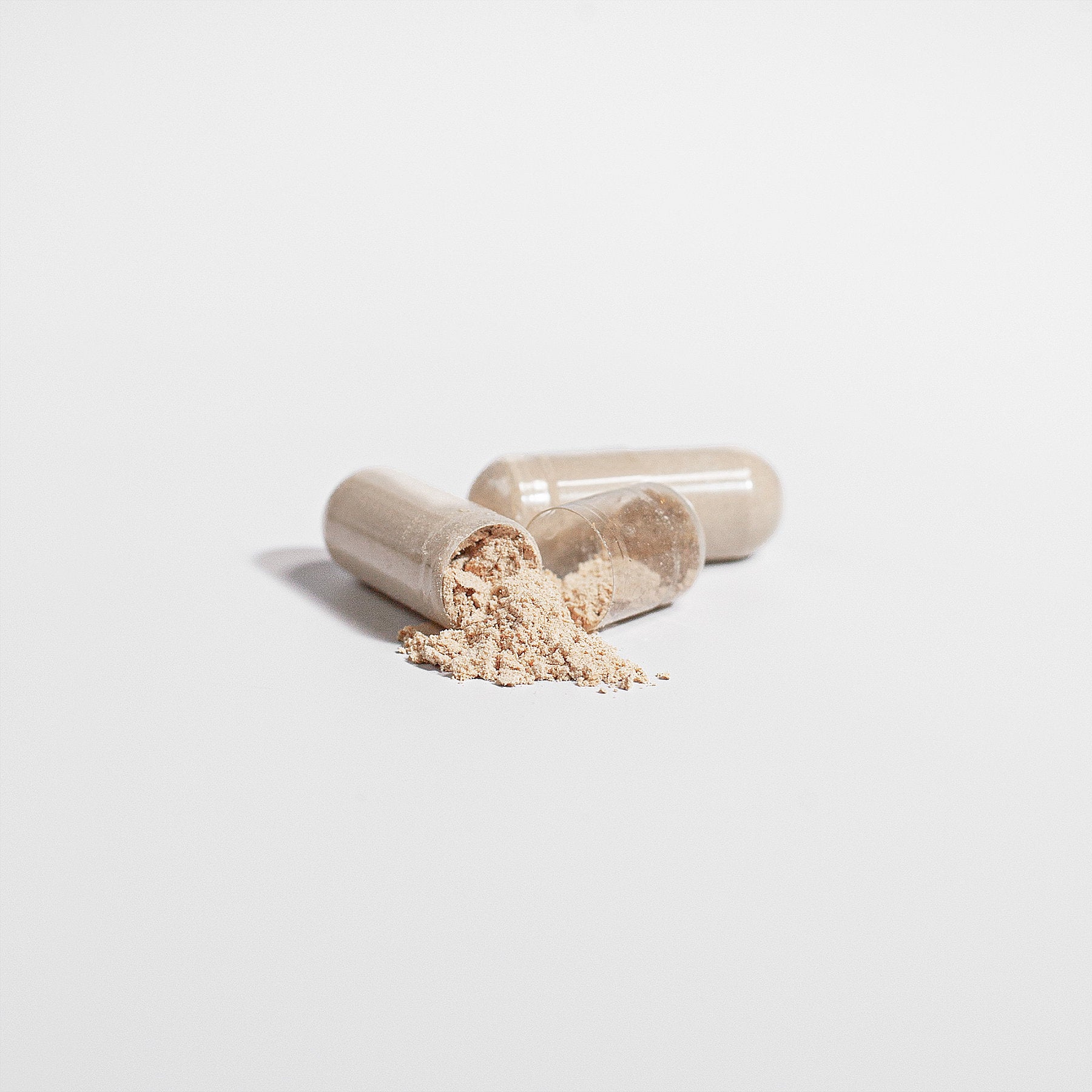 Cordyceps Mushroom - Supz